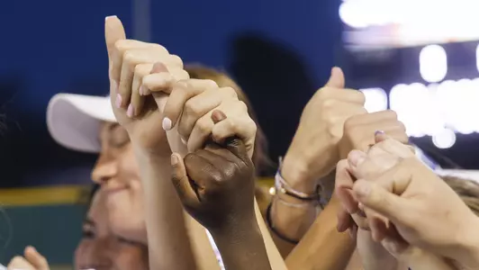 SB Hands