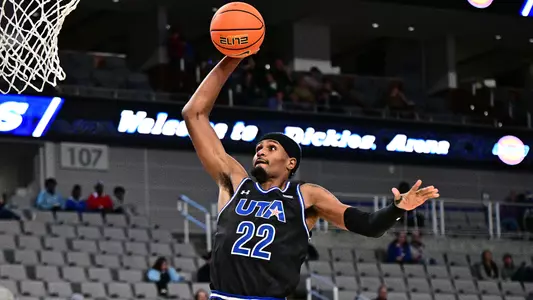 Wilson Dunk Dickies Arena