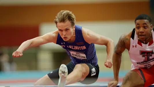 Bengtsson Hurdles