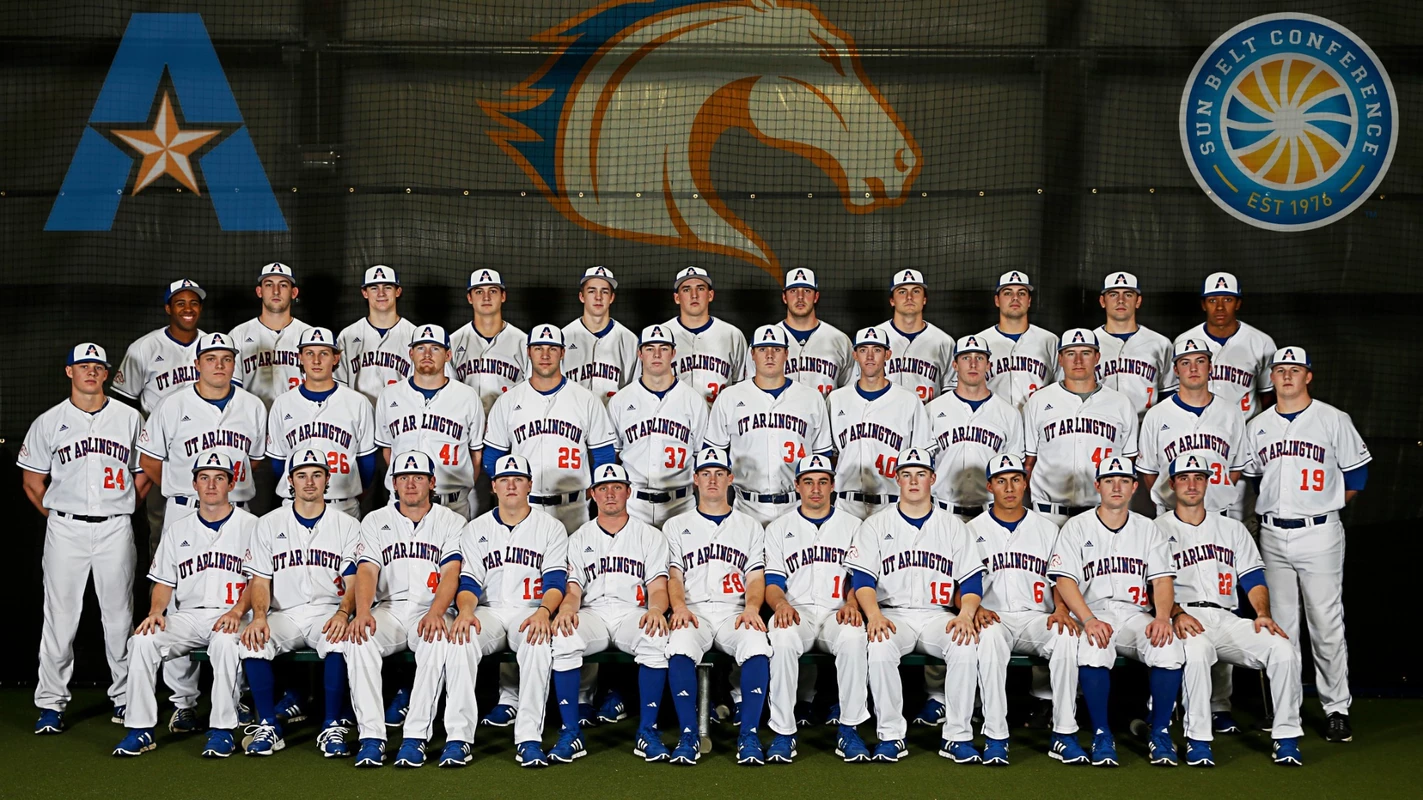 2015 baseball team photo