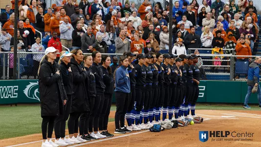 Softball Crowd 3.8