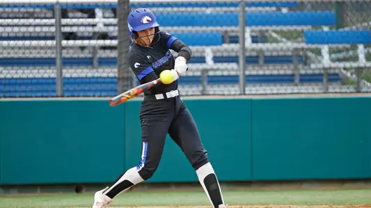 Hukill Swing