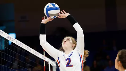 mollie blank new action 2023-2
