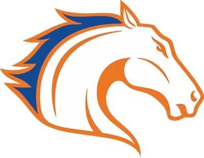 Blaze Logo