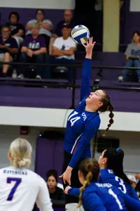 brianna ford inside story sfa