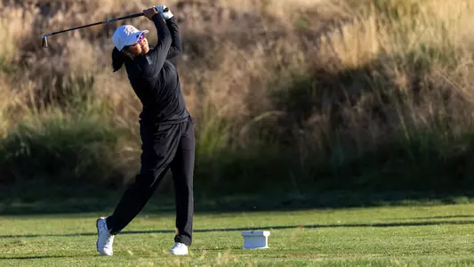 Tran Swing