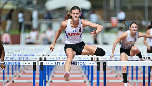 Bontke hurdle