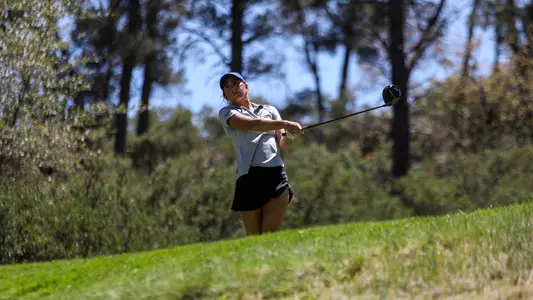 Gabel Swing