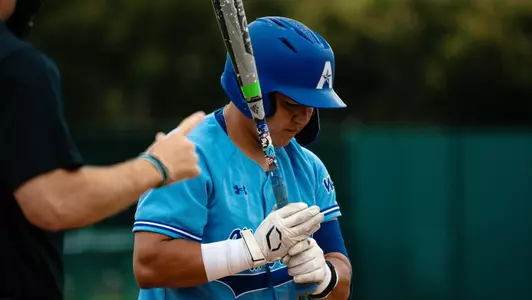 Melendez at bat