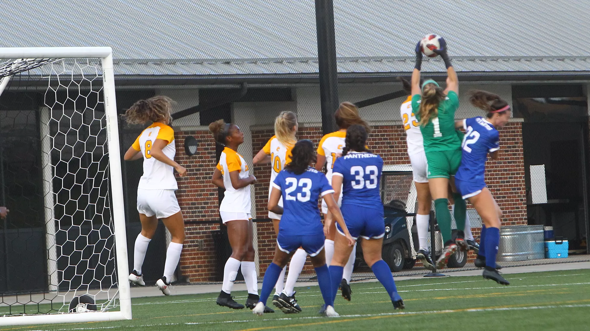 Abbey Saddler save