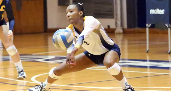 Volleyball Drops Two to Open Season