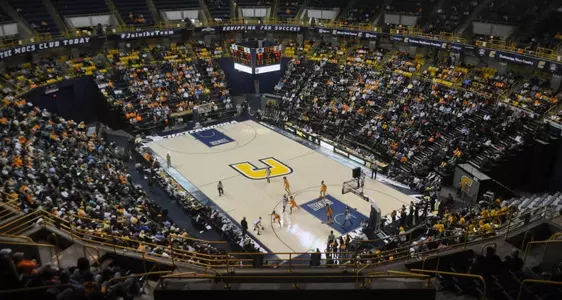 The crowd at tonight's game.