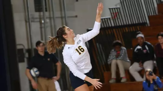 VB Bergren vs. Mercer