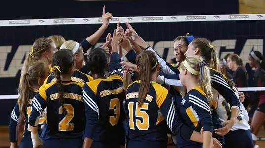VB Team