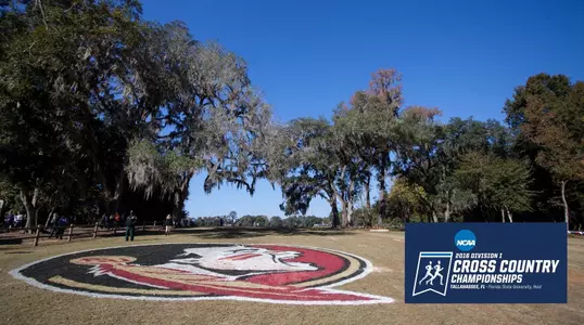 NCAA South Region