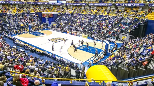 Basketball Crowd