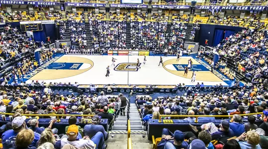 Basketball Crowd