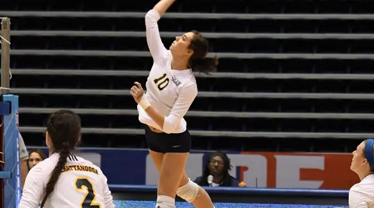 murray-vb