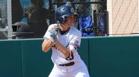 brown-usf