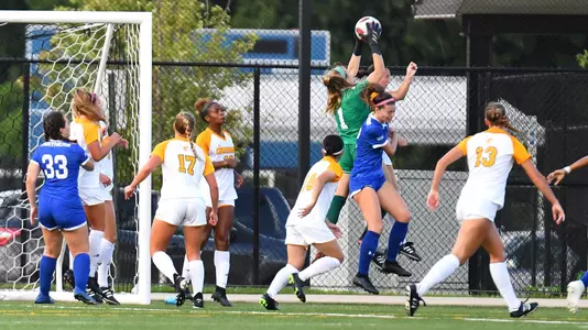 Saddler save vs. gsu