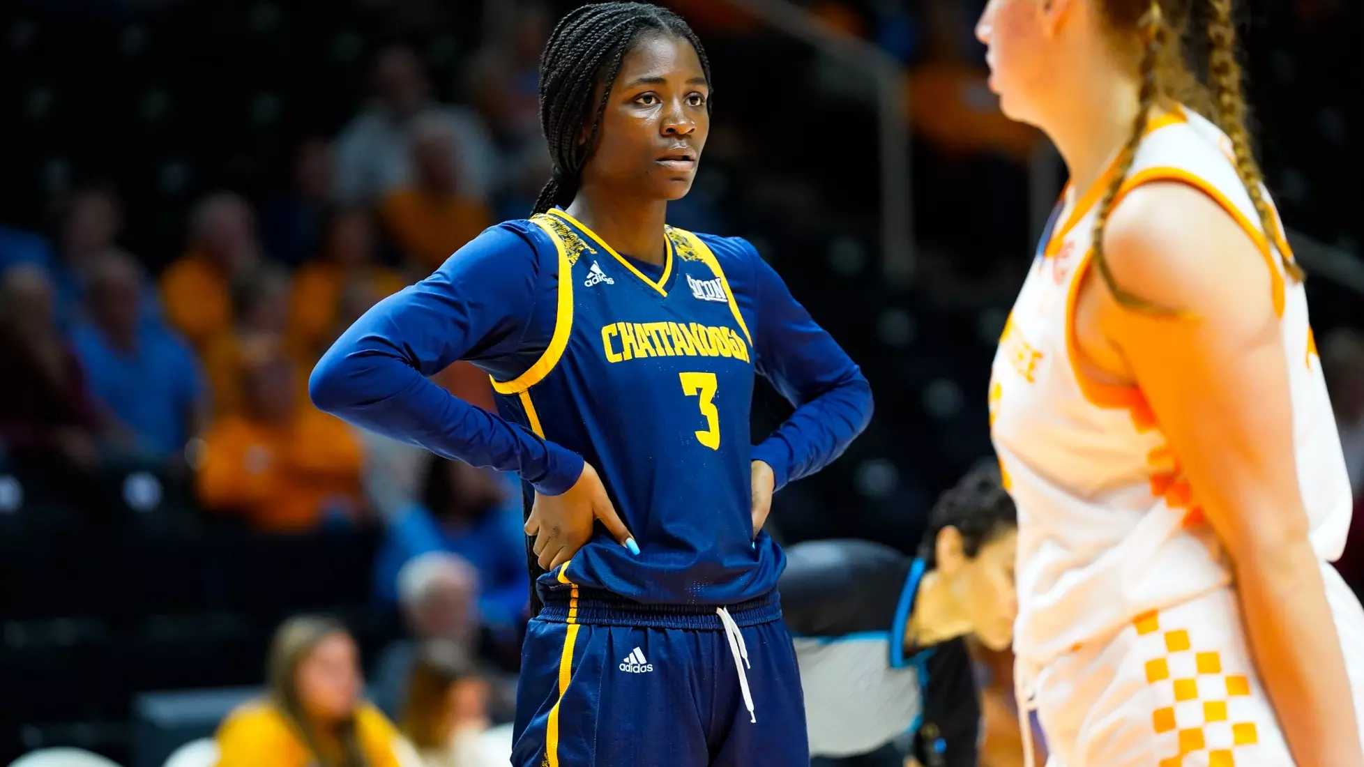 Women's Basketball at Tennessee