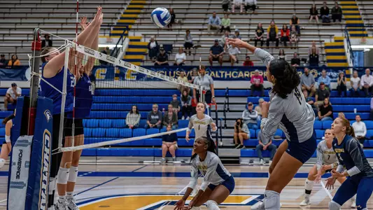 VB Halle Olson