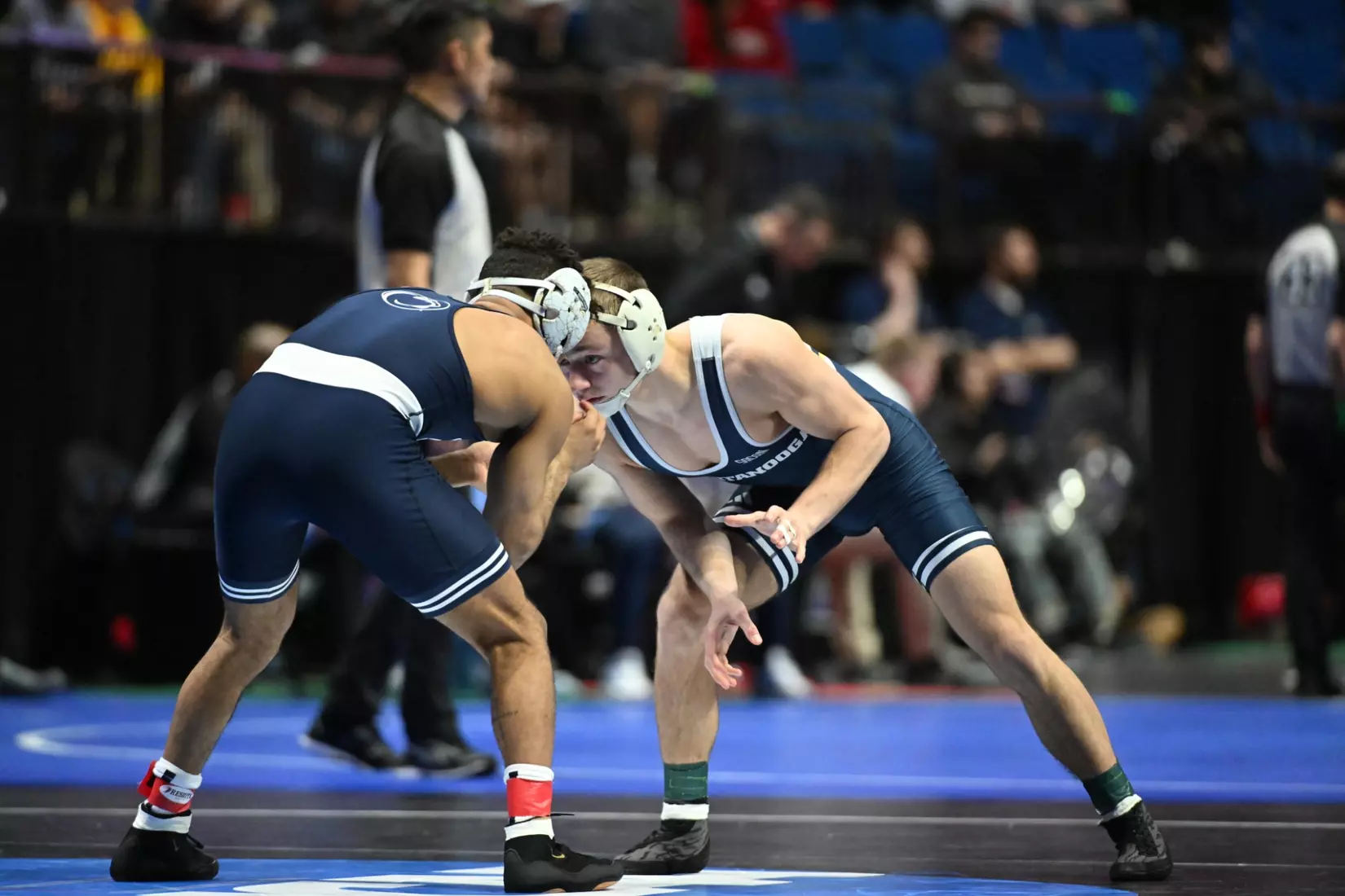 Brayden Palmer at the NCAA Championships.