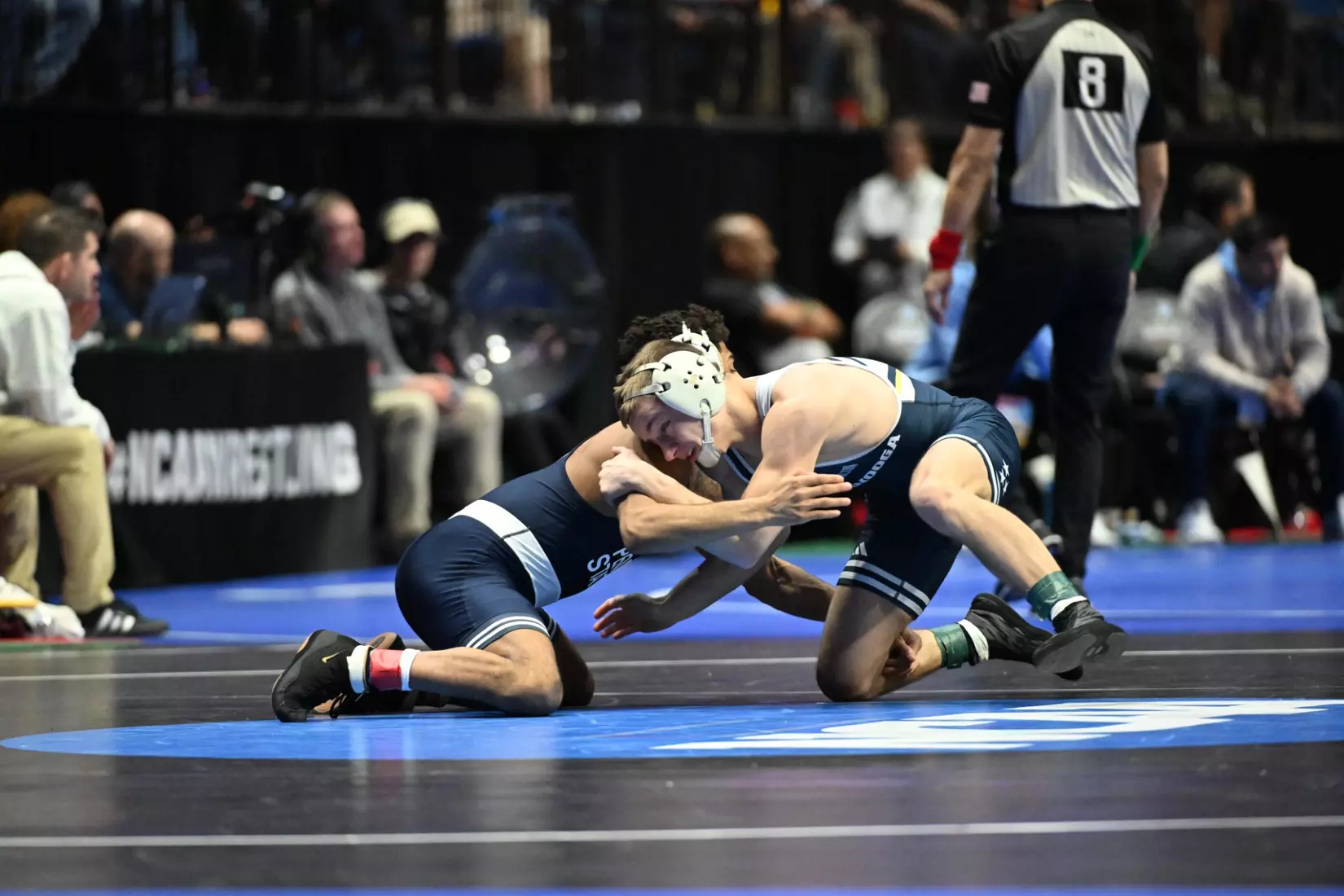 Brayden Palmer at the NCAA Championships.