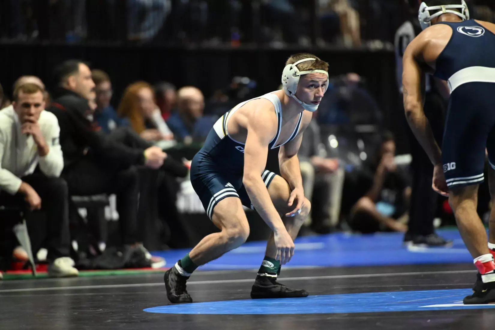 Brayden Palmer at the NCAA Championships.