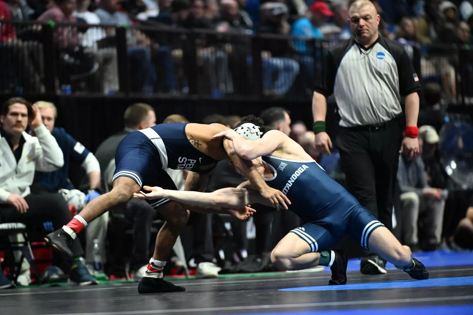 Brayden Palmer at the NCAA Championships.