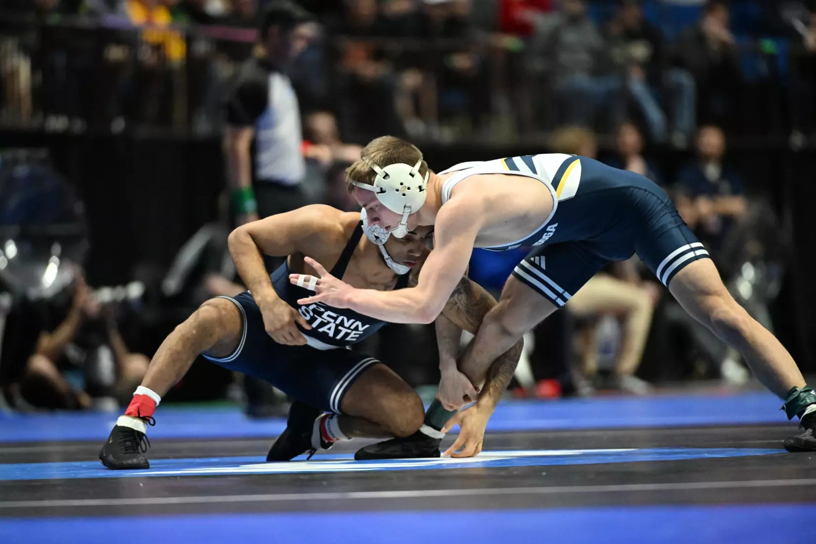 Brayden Palmer at the NCAA Championships.