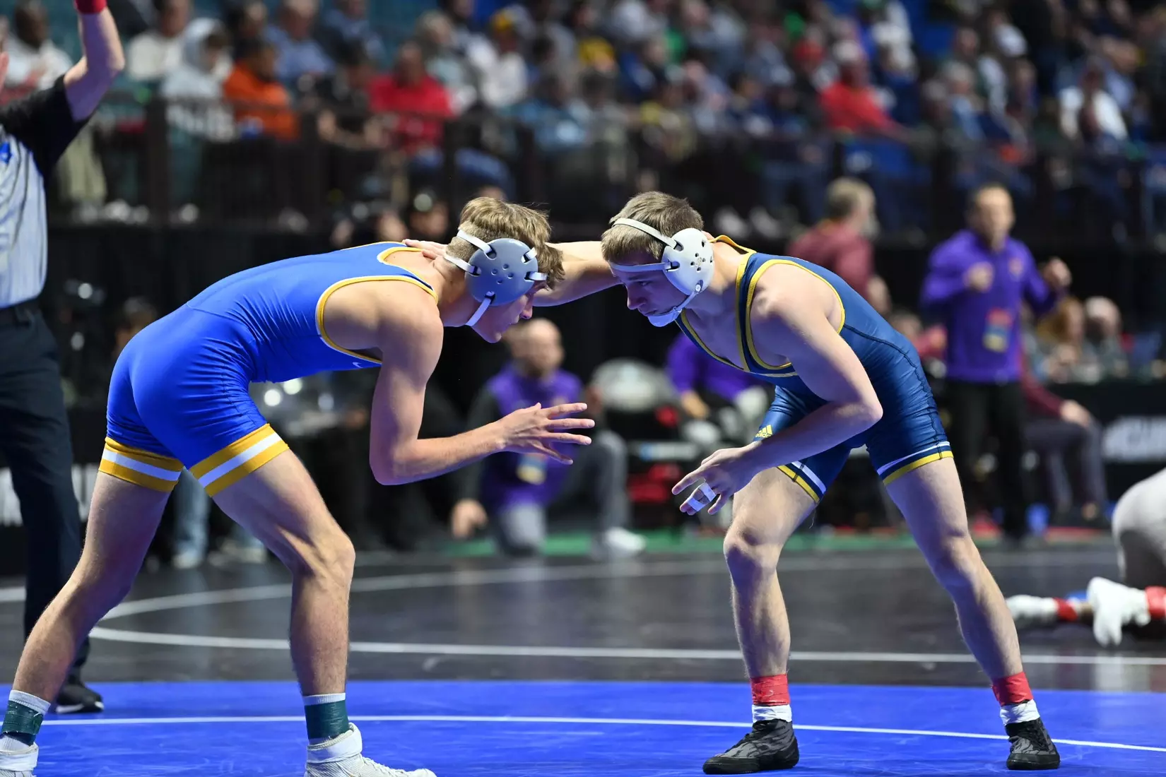 Brayden Palmer in action at the NCAA Wrestling Championships.