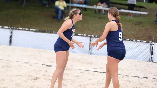 Faychak & Lecik OVC