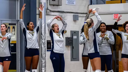 VB team celly