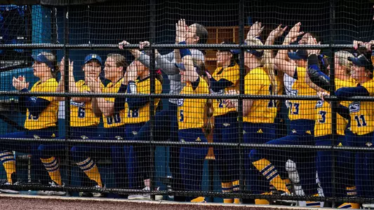 Team in dugout
