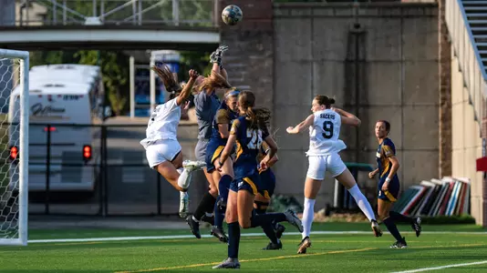 goal keeper save