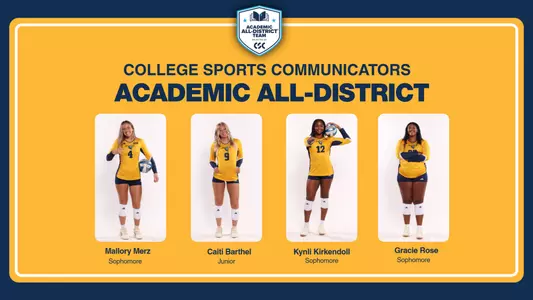 VB ACADEMIC COVER