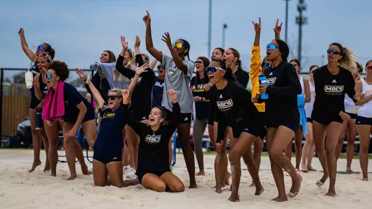 BVB Team Celly