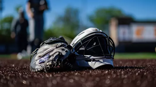 catcher's mask and glove