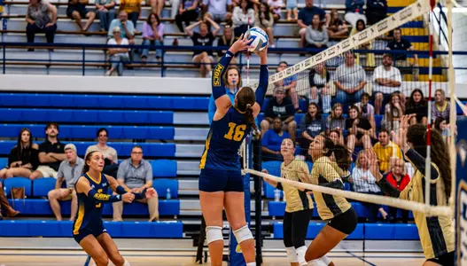 Ashley Reynolds setting up a UTC player against Wofford