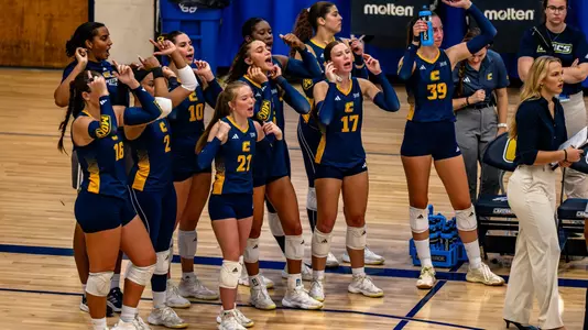 Volleyball Bench celebrating a point for the Mocs