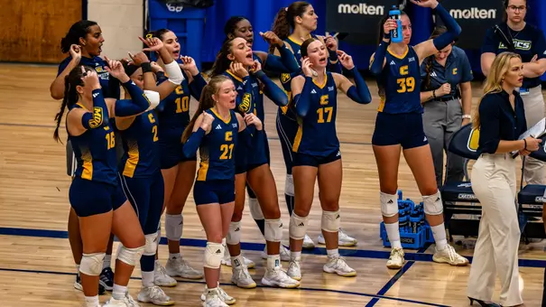 Volleyball Bench celebrating a point for the Mocs