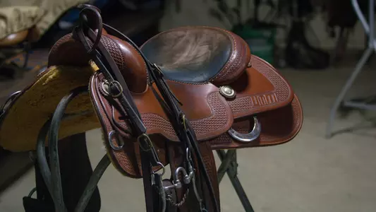 equestrian_saddle