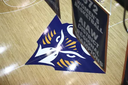 elam_rafters_generic