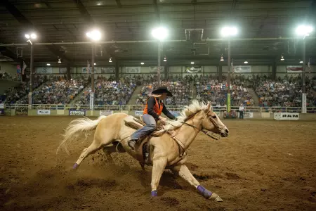 Ag Complex - Rodeo