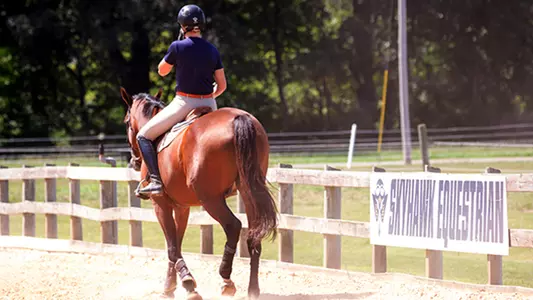 equestrian_generic