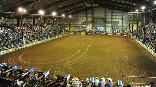 rodeo_crowd