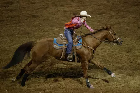 brooks_action