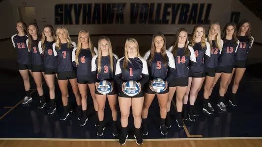 volleyball_posed