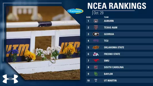 ncea_ranked_1029
